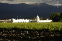 La bodega El Esteco, Cafayate, Salta, Argentina