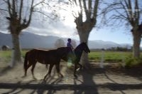 Cavalgando, Cafayate, Salta, Argentina