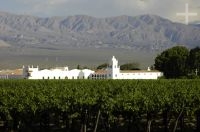 La bodega El Esteco, Cafayate, provincia de Salta, Argentina