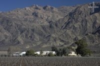 La bodega Felix Lavaque, Cafayate, provincia de Salta, Argentina
