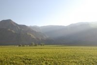 Viñas en los alrededores de Cafayate, provincia de Salta, Argentina