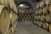 La cava de la bodega Lavaque, Cafayate, Salta, Argentina