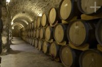 La cava de la bodega Lavaque, Cafayate, Salta, Argentina