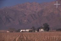 Bodega, Cafayate, provincia de Salta, Argentina, Cordillera de los Andes