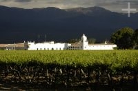 The El Esteco winery, Cafayate, Salta, Argentina