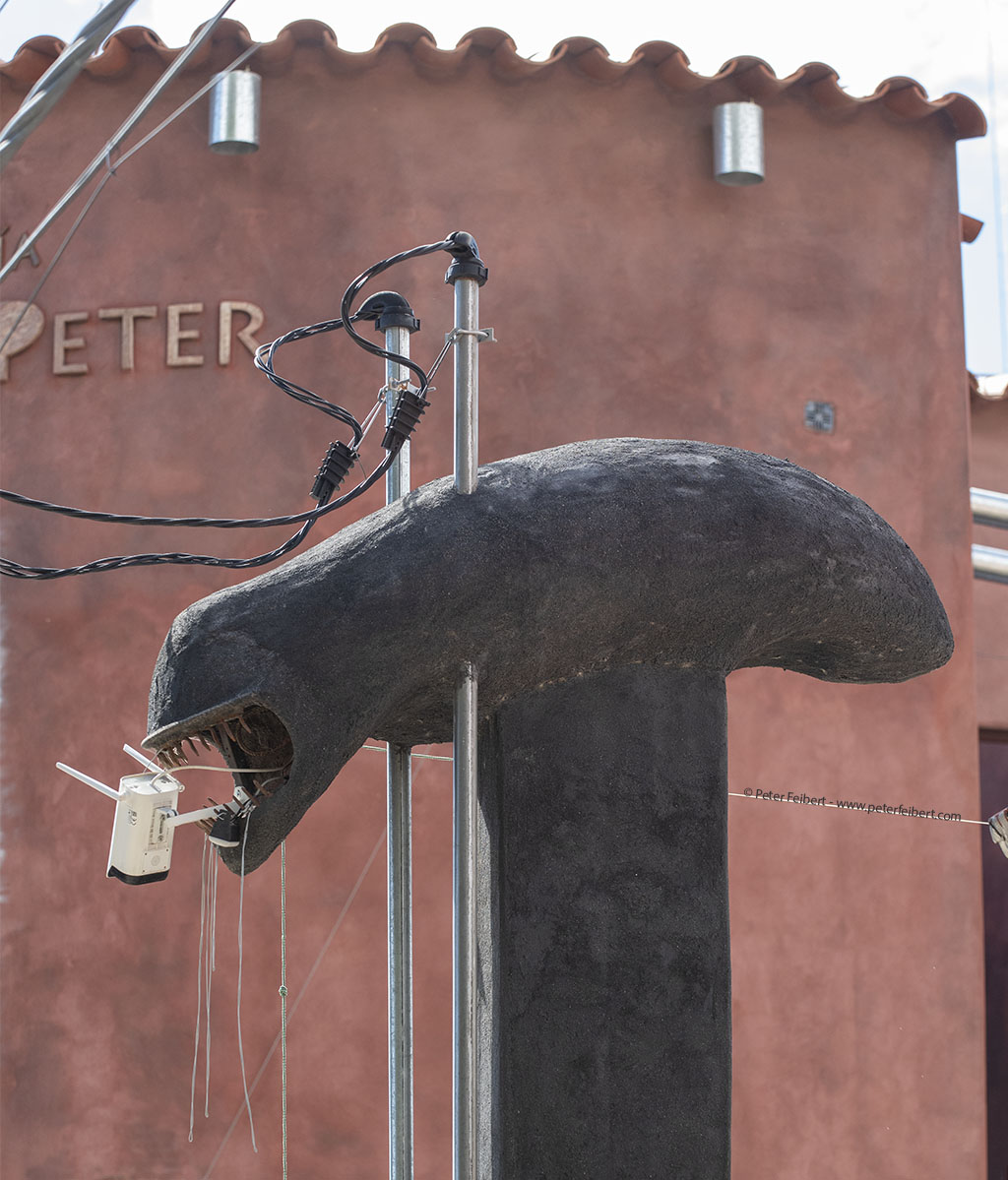 Casa de Peter, Cafayate, Salta, Argentina